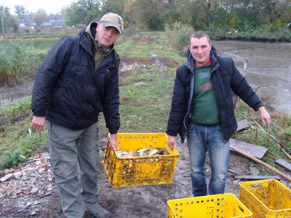 На Тернопільщині громада зробила зразковий ставок для риболовлі на сайті 20minut.ua На Тернопільщині громада зробила зразковий ставок для риболовлі, фото №1 на сайті 20minut.ua