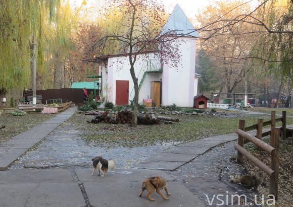 Новачки у хмельницькому зоокутку – бабак зі Старобільська та барвисті фазани, фото №1 на сайті vsim.ua