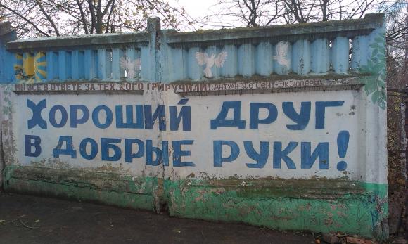 У притулку “Планета” 400 собак. Тваринам не вистачає місця на сайті 20minut.ua У притулку “Планета” 400 собак. Тваринам не вистачає місця, фото №1 на сайті 20minut.ua