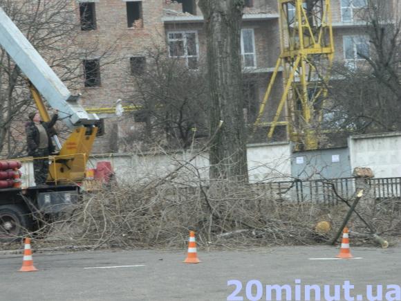 Фото дня: Обрізають дерева на Дубовецькій, фото №1 на сайті 20minut.ua