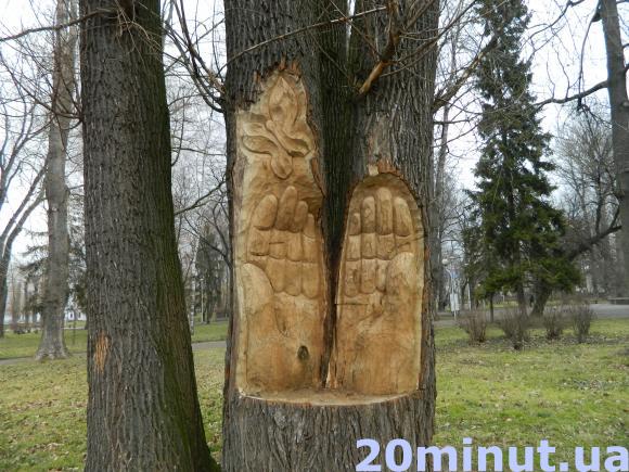Фото дня: В парку Шевченка в дереві вирізають янгола, фото №2 на сайті 20minut.ua