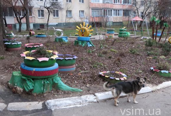 Хмельничани прикрашають свої двори лебедями із шин та квітами із пластикових пляшок, фото №11 на сайті vsim.ua