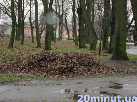 Старий парк обріжуть заради забудови, фото №7 на сайті 20minut.ua