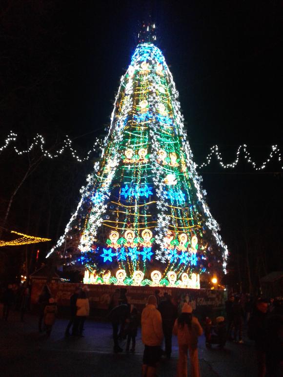 Вінниця новорічна: як святкова ілюмінація перетворила місто, фото №2 на сайті 20minut.ua