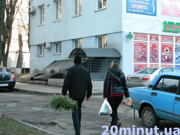 Жива ялинка у Тернополі – 50-250 грн, фото №1 на сайті 20minut.ua