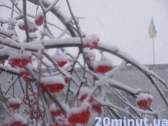 Зима прийшла в Житомир за розкладом (Фоторепортаж), фото №20 на сайті 20minut.ua