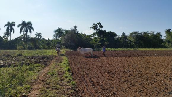 На Кубі вінничанка побачила комунізм у всій красі – черги, порожні магазини, старі радянські авто…, фото №3 на сайті 20minut.ua