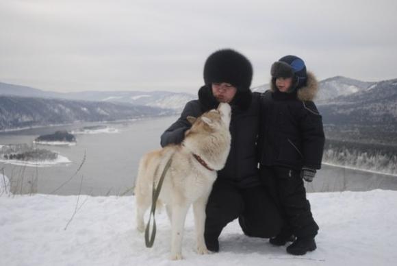 Сім причин, чому собака втікає від господаря, та поради, як це виправити, фото №2 на сайті 20minut.ua