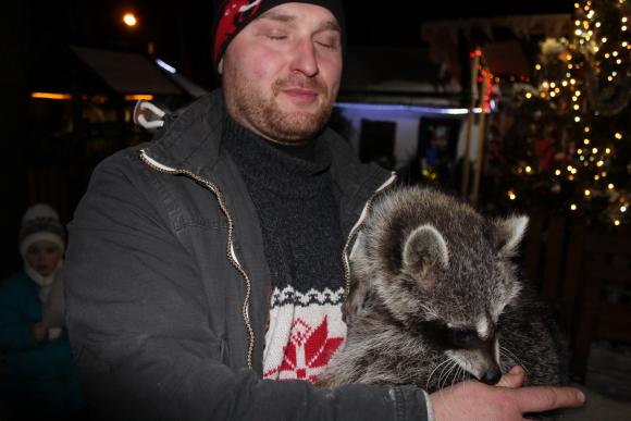 У Вінниці відкрився дитячий майданчик, де живуть вівці, кози та єнот, фото №1 на сайті 20minut.ua