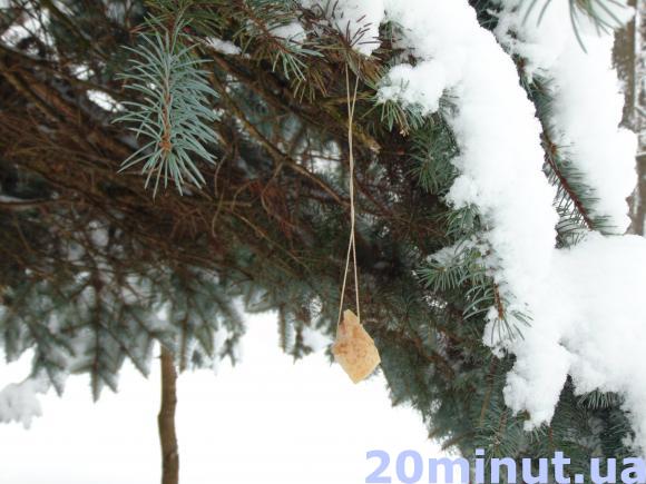 Зимовий Житомир - це справжнє диво.ФОТОРЕПОРТАЖ, фото №25 на сайті 20minut.ua