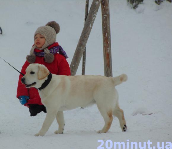 Зимовий Житомир - це справжнє диво.ФОТОРЕПОРТАЖ, фото №50 на сайті 20minut.ua