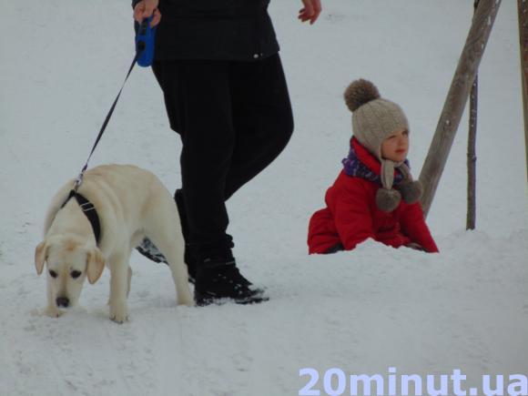 Зимовий Житомир - це справжнє диво.ФОТОРЕПОРТАЖ, фото №51 на сайті 20minut.ua
