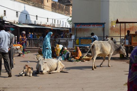Індія — один суцільний болівудський фільм, фото №3 на сайті 20minut.ua