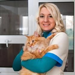 Притулок для собак від міськради: житимуть сито, але недовго, фото №6 на сайті 20minut.ua