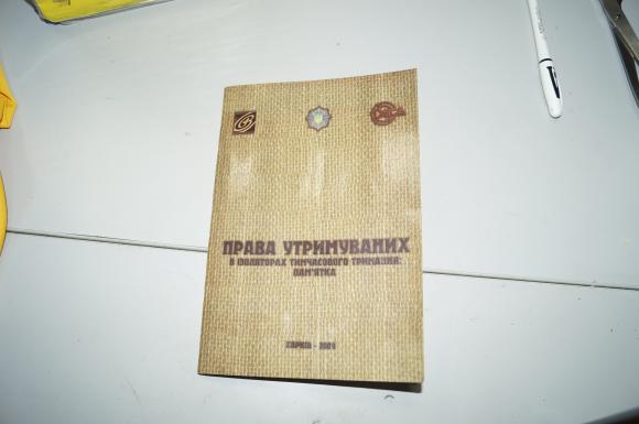 Самооборона зловила школяра, який «трусив» під мостом скриньку для пожертв, фото №2 на сайті 20minut.ua