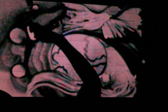 Що відбувалося  на арт-шоу ”Кохання врятує світ” 14 лютого, фото №2 на сайті 20minut.ua