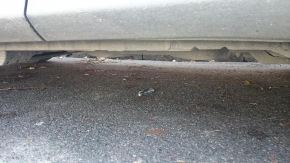 У Вінниці в офісі підрізали чоловіка, фото №1 на сайті 20minut.ua