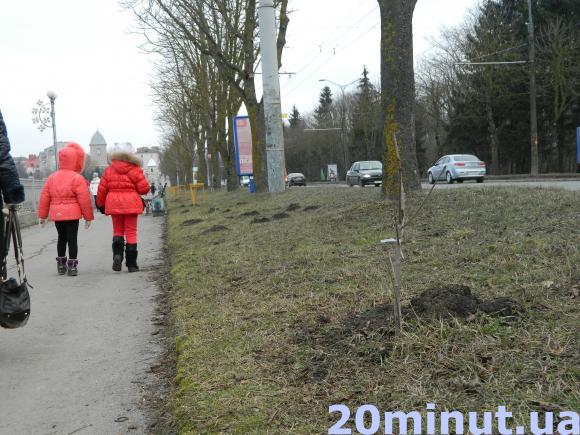 Як поживають каштани Бріотті, фото №1 на сайті 20minut.ua