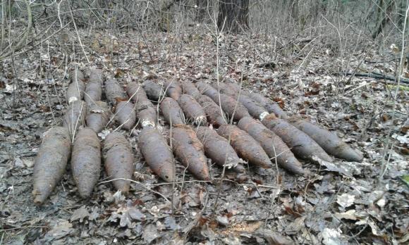 На Вінниччині у лісі знайшли авіабомбу, фото №1 на сайті 20minut.ua
