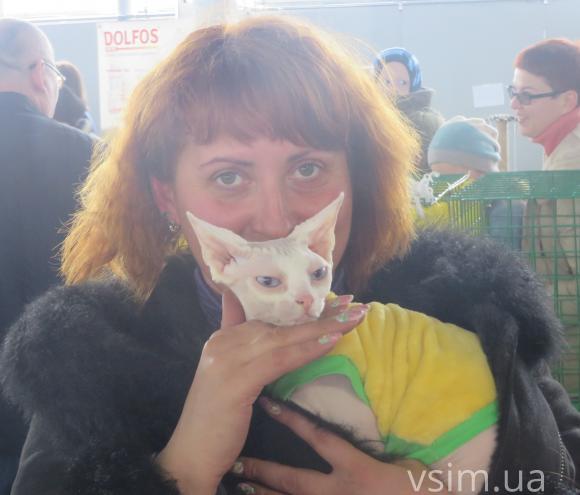 У Хмельницькому триває виставка березневих котів, фото №11 на сайті vsim.ua