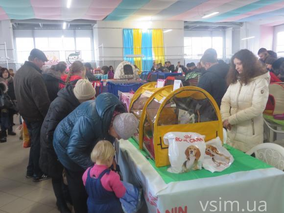 У Хмельницькому триває виставка березневих котів, фото №12 на сайті vsim.ua