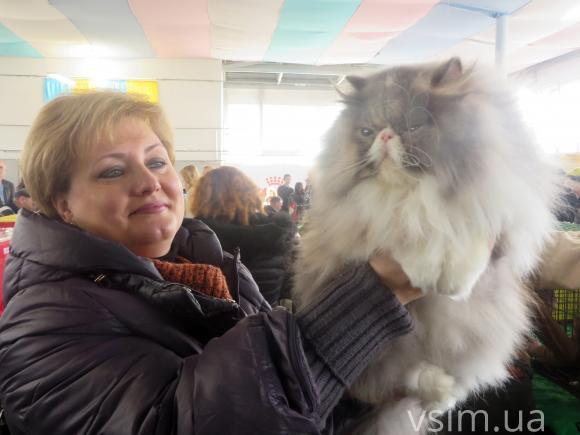 У Хмельницькому триває виставка березневих котів, фото №3 на сайті vsim.ua