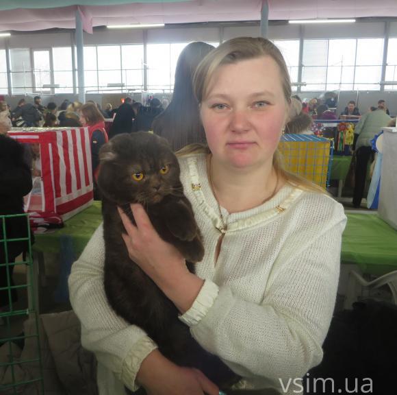 У Хмельницькому триває виставка березневих котів, фото №7 на сайті vsim.ua