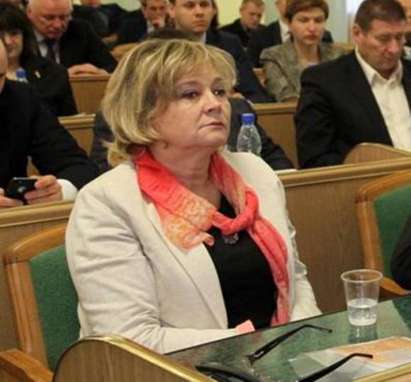 Депутати Хмельницької облради не поспішають підтримувати Драгана, поки не дізнаються ім’я другого зама, фото №3 на сайті vsim.ua