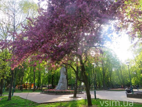 Фото дня: у парку Шевченка цвітуть райські яблука, фото №2 на сайті vsim.ua