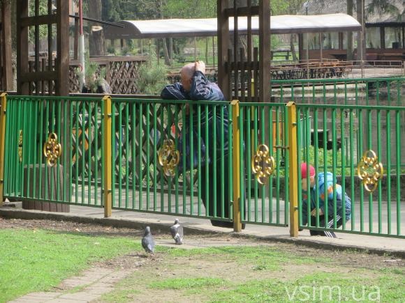 Хмельницький зоокуток планують розширити. З новачків - лише кролики, фото №14 на сайті vsim.ua
