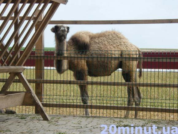 Куди і за скільки можна поїхати на травневі свята без візи, фото №5 на сайті 20minut.ua