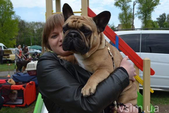 На виставку собак у Хмельницький привезли кишенькових чихуахуа та 50-кілограмових вівчарок, фото №10 на сайті vsim.ua