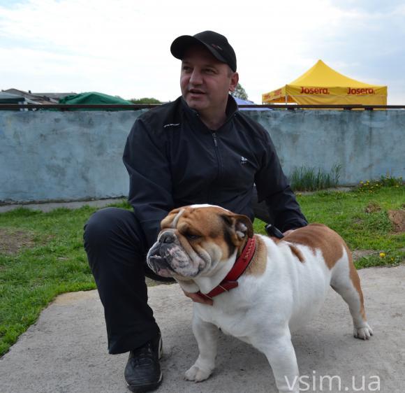 На виставку собак у Хмельницький привезли кишенькових чихуахуа та 50-кілограмових вівчарок, фото №9 на сайті vsim.ua