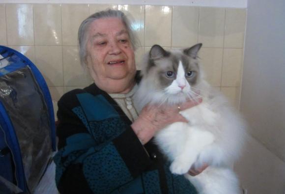 На виставці котів вінничани погрались із рідкісними «пухнастиками», фото №3 на сайті 20minut.ua