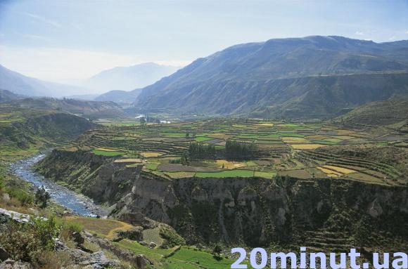 Наші у Перу: українська діаспора в країні інків, фото №3 на сайті 20minut.ua