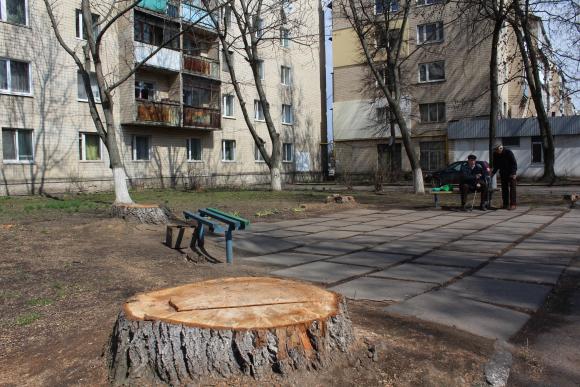 Навіщо у Вінниці масово вирубують дерева?, фото №1 на сайті 20minut.ua