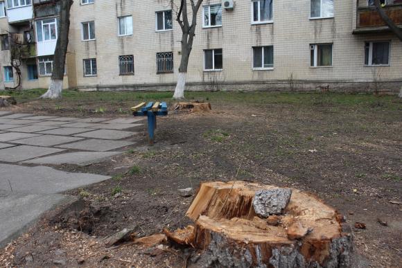 Навіщо у Вінниці масово вирубують дерева?, фото №2 на сайті 20minut.ua