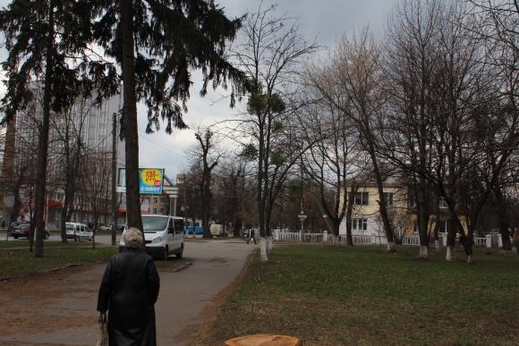 Навіщо у Вінниці масово вирубують дерева?, фото №3 на сайті 20minut.ua