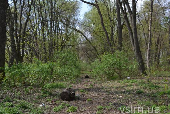 Острів кохання у Хмельницькому: смітник чи місце для відпочинку, фото №6 на сайті vsim.ua