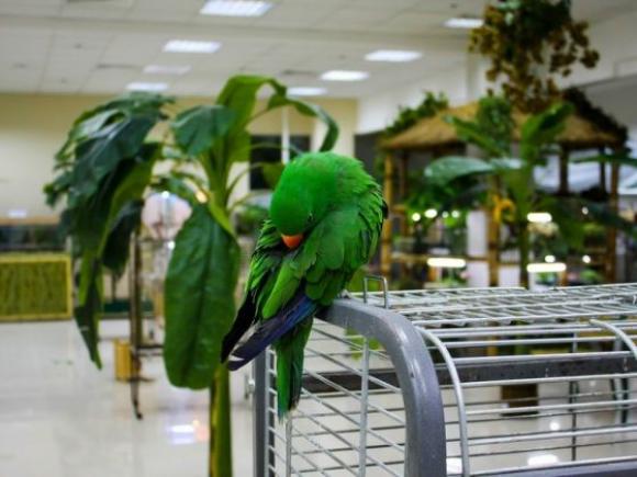 Усі розваги Вінниці на вихідні, 8 - 10 квітня, фото №26 на сайті 20minut.ua