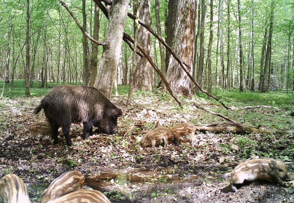Усі розваги Вінниці на вихідні, 8 - 10 квітня, фото №6 на сайті 20minut.ua