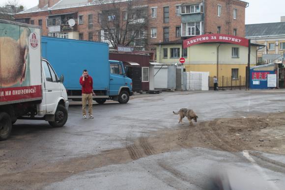 Винничанке "порвали" автомобиль. Охранники говорят - это сделали собаки, фото №4 на сайті 20minut.ua