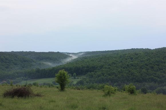 Де на Вінниччині є заповідники та що там можна побачити, фото №1 на сайті 20minut.ua
