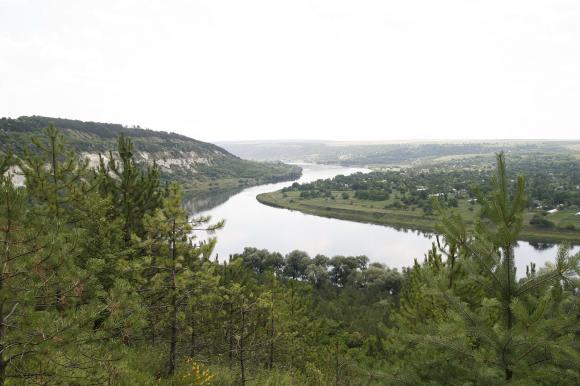 Де на Вінниччині є заповідники та що там можна побачити, фото №7 на сайті 20minut.ua