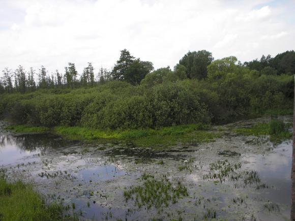 Де на Вінниччині є заповідники та що там можна побачити, фото №9 на сайті 20minut.ua