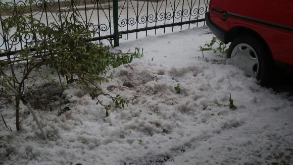 Град на Тернопільщині побив городину, фото №4 на сайті 20minut.ua