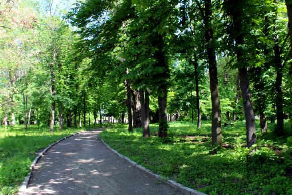 “Кам'яна” Печера і володіння Потоцьких: шукаємо найгарніші місця для фото, фото №10 на сайті 20minut.ua
