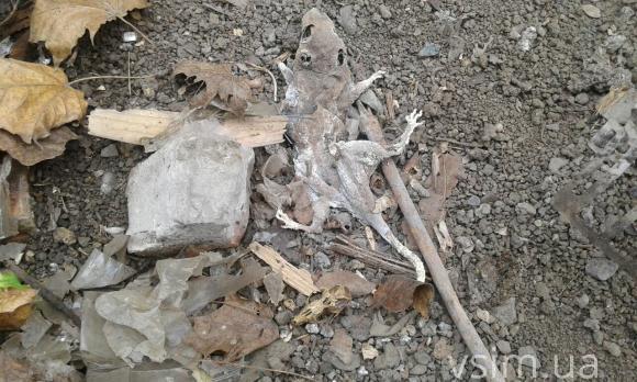 На Виставці демонтували кіоски, які закривали вид на новий ринок, фото №3 на сайті vsim.ua