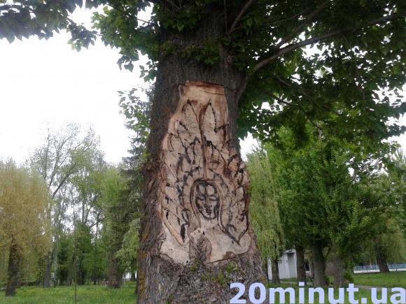 Тернополянин запитує, чому різьблять на живій тополі, фото №1 на сайті 20minut.ua