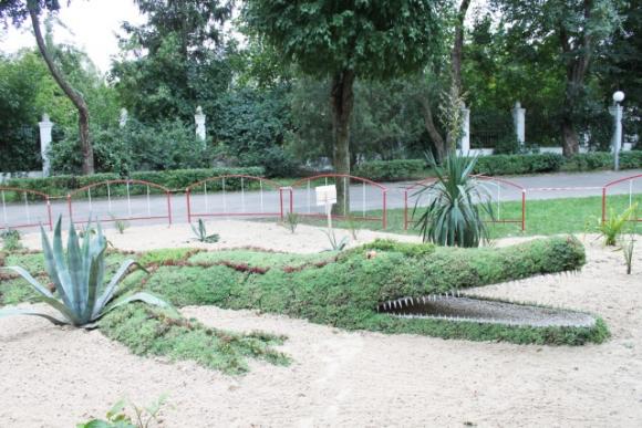 Вінницькі 3D-клумби: черепаху, ретроавтомобіль та крокодила оновили на сайті 20minut.ua Вінницькі 3D-клумби: черепаху, ретроавтомобіль та крокодила оновили, фото №1 на сайті 20minut.ua